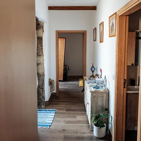Shizuka House